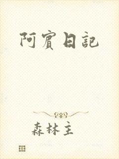阿宾日记