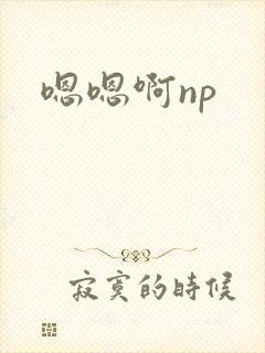 嗯嗯啊np