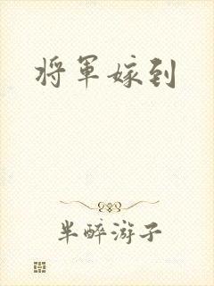 将军嫁到
