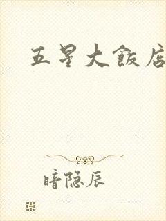 五星大饭店小说