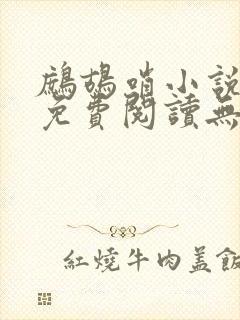 鹧鸪哨小说网站免费阅读无弹窗