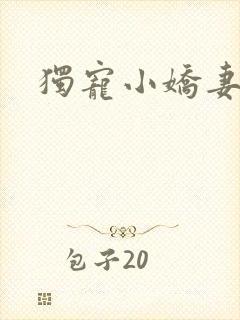 独宠小娇妻