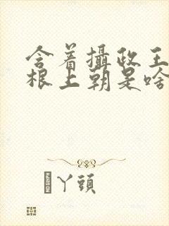 含着摄政王的紫根上朝是啥小说