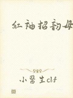 红袖招韵母攻略