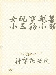 女配穿越各个做小三的小说
