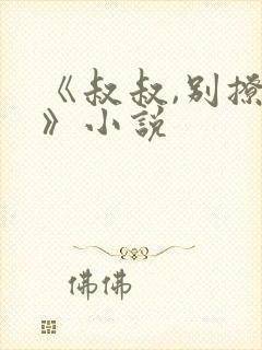 《叔叔,别撩我》小说