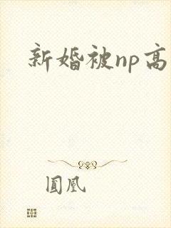 新婚被np高h