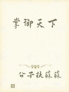 掌御天下