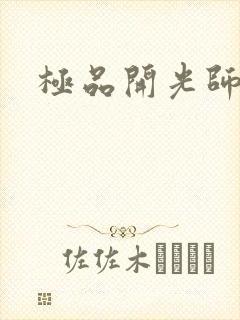 极品开光师