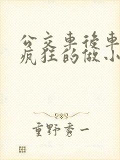 公交车后车座的疯狂的做小