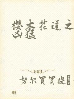 樱木花道之重生凶猛