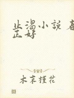 止渴小说 春光正好