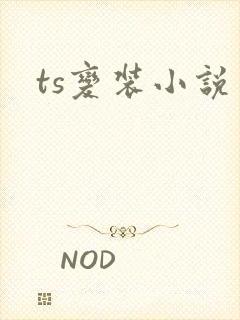 ts变装小说
