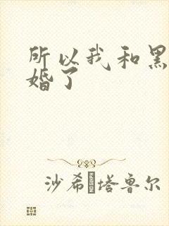 所以我和黑粉结婚了