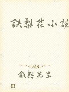铁梨花小说