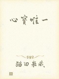 心宝唯一