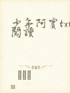 少年阿宾txt阅读