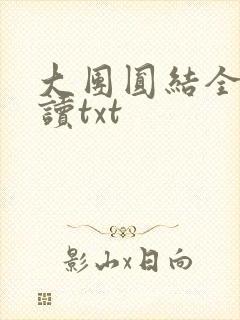 大团圆结全文阅读txt