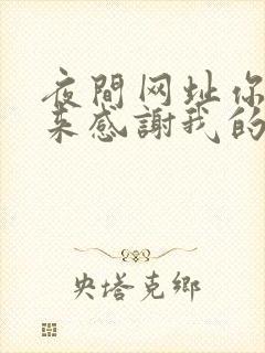 夜间网址你会回来感谢我的