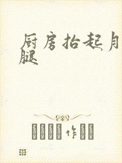 厨房抬起月月的腿封面