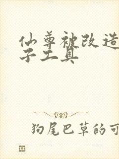 仙尊被改造成产子工具