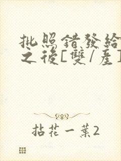 批照错发给情敌之后[双/产]