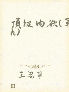 顶级肉欲(军高h)