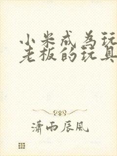 小米成为玩具店老板的玩具