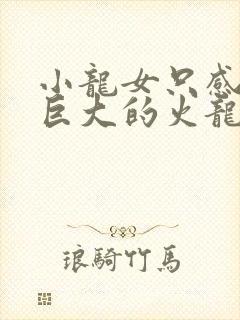小龙女只感觉那巨大的火龙枪