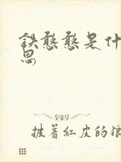 铁憨憨是什么意思