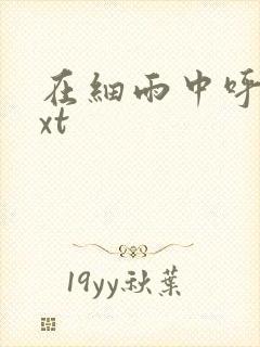 在细雨中呼喊txt