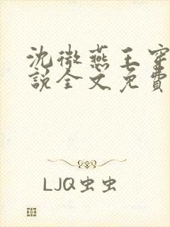 沈微燕王穿越小说全文免费阅读