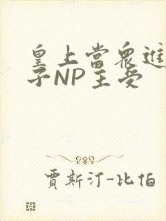 皇上当众进入太子NP主受封面