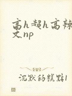 高h超h高辣h文np