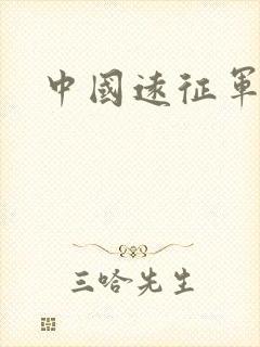 中国远征军小说