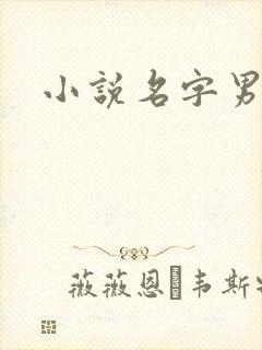 小说名字男生