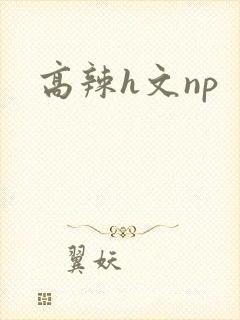 高辣h文np