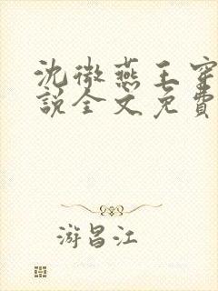 沈微燕王穿越小说全文免费阅读