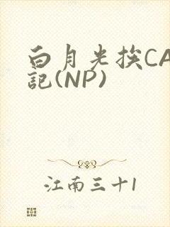 白月光挨CAO记(NP)