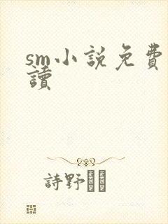 sm小说免费阅读