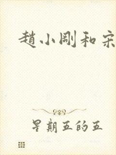 赵小刚和宋雨晴