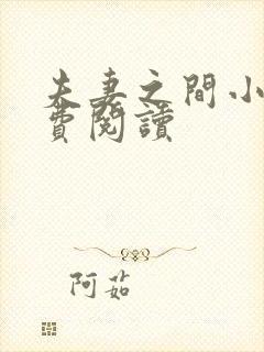 夫妻之间小说免费阅读