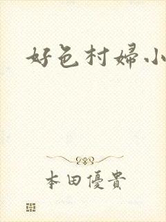 好色村妇小银贼