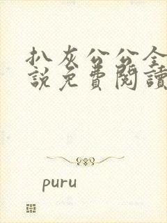 扒灰公公全部小说免费阅读全文