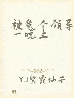 被几个领导玩弄一晚上