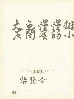 大龟慢慢挺进女友闺蜜的小说