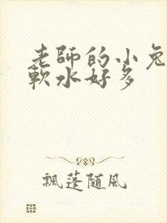 老师的小兔子好软水好多