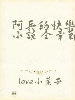 阿兵的快乐生活小说 全章节阅读免费