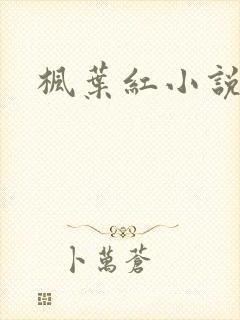 枫叶红小说