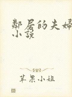 邻居的夫妇交换小说